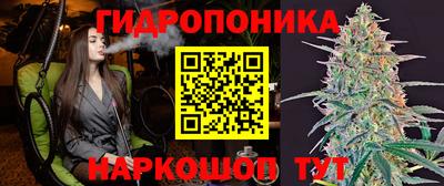 бошки Будённовск