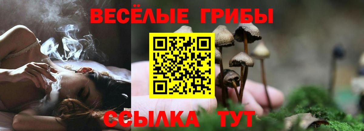Кузнецк  Галлюциногенные грибы прущие грибы  дарнет шоп  Вход с VPN 