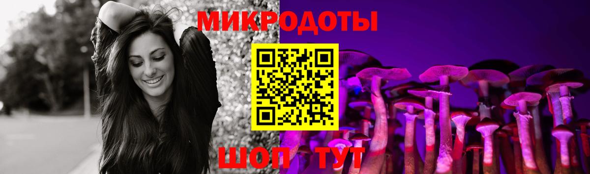 Псилоцибиновые грибы прущие грибы Кузнецк